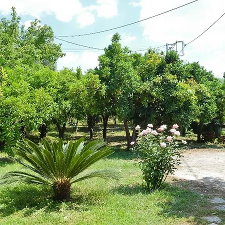 Anastasia Country house Roitika